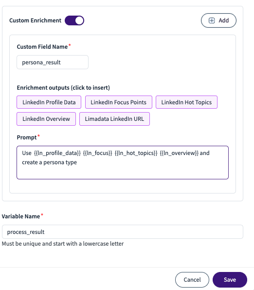 Form fields for custom enrichment with options for LinkedIn data and persona creation.